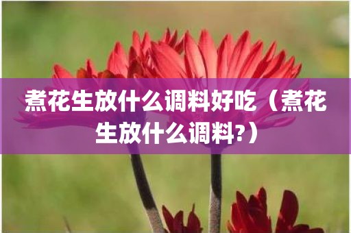 煮花生放什么调料好吃（煮花生放什么调料?）