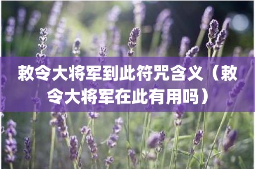 敕令大将军到此符咒含义（敕令大将军在此有用吗）