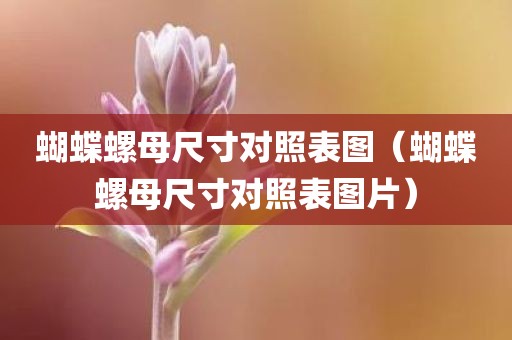 蝴蝶螺母尺寸对照表图（蝴蝶螺母尺寸对照表图片）
