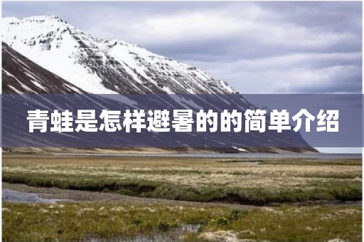 青蛙是怎样避暑的的简单介绍