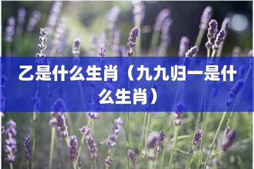 乙是什么生肖（九九归一是什么生肖）
