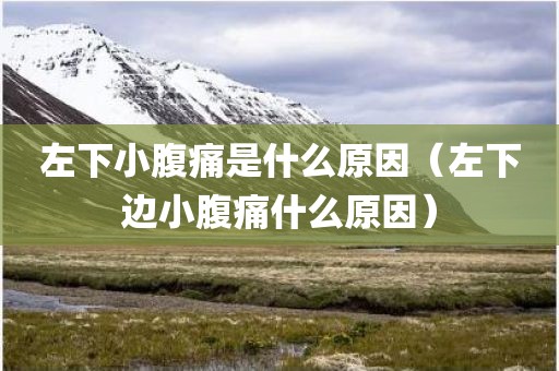 左下小腹痛是什么原因（左下边小腹痛什么原因）