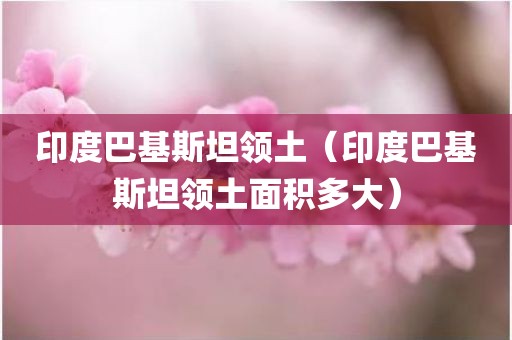 印度巴基斯坦领土（印度巴基斯坦领土面积多大）