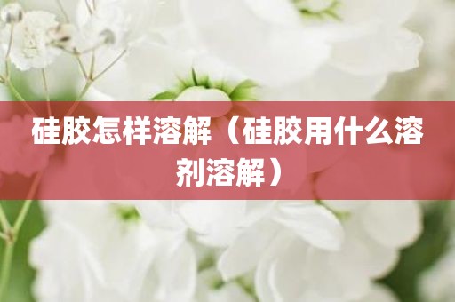 硅胶怎样溶解（硅胶用什么溶剂溶解）