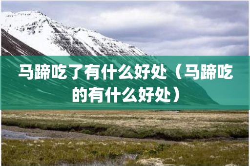马蹄吃了有什么好处(马蹄吃的有什么好处) 马蹄吃了有什么好处(马蹄吃的有什么好处)