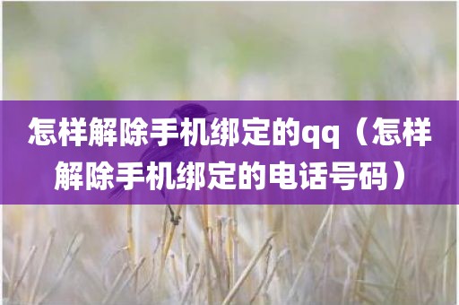 怎样解除手机绑定的qq（怎样解除手机绑定的电话号码）