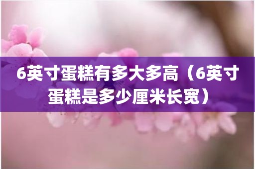 6英寸蛋糕有多大多高（6英寸蛋糕是多少厘米长宽）