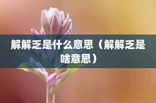 解解乏是什么意思（解解乏是啥意思）
