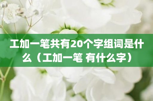 工加一笔共有20个字组词是什么（工加一笔 有什么字）