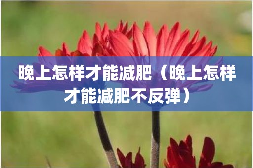 晚上怎样才能减肥（晚上怎样才能减肥不反弹）