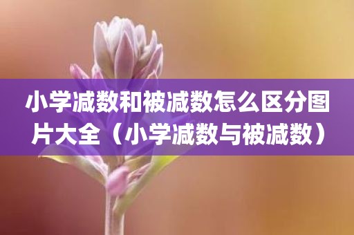 小学减数和被减数怎么区分图片大全（小学减数与被减数）
