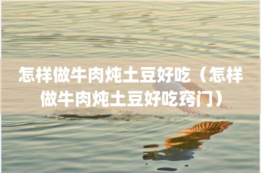 怎样做牛肉炖土豆好吃（怎样做牛肉炖土豆好吃窍门）