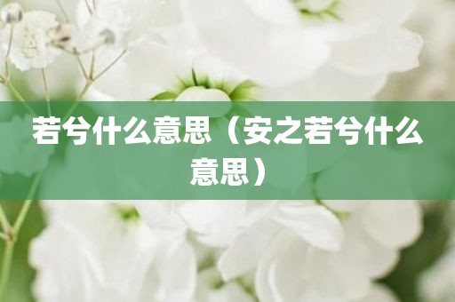 若兮什么意思（安之若兮什么意思）