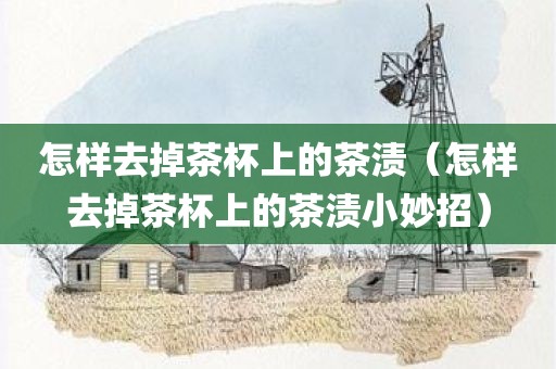 怎样去掉茶杯上的茶渍（怎样去掉茶杯上的茶渍小妙招）