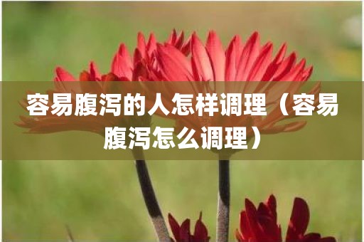 容易腹泻的人怎样调理（容易腹泻怎么调理）