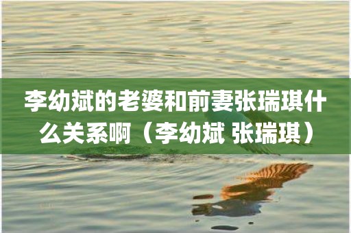 李幼斌的老婆和前妻张瑞琪什么关系啊（李幼斌 张瑞琪）