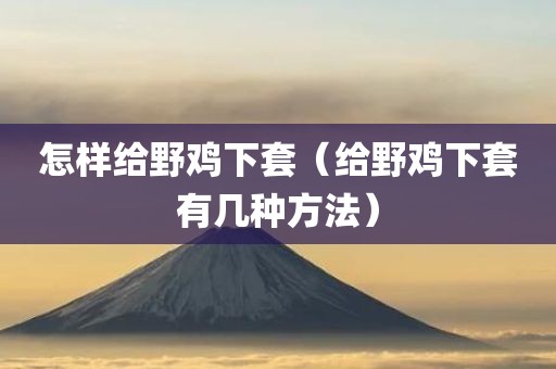 怎样给野鸡下套（给野鸡下套有几种方法）