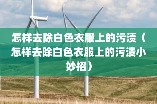 怎样去除白色衣服上的污渍（怎样去除白色衣服上的污渍小妙招）