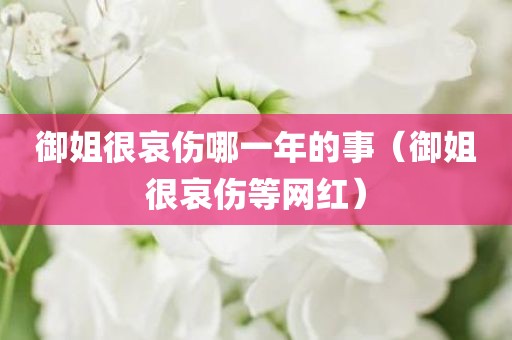 御姐很哀伤哪一年的事（御姐很哀伤等网红）