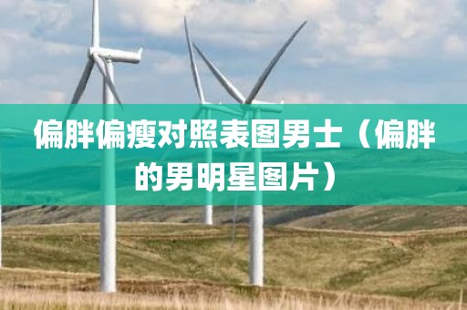 偏胖偏瘦对照表图男士（偏胖的男明星图片）