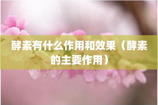 酵素有什么作用和效果(酵素的主要作用)