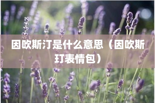 因吹斯汀是什么意思（因吹斯玎表情包）