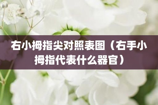 右小拇指尖对照表图（右手小拇指代表什么器官）