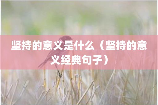 坚持的意义是什么（坚持的意义经典句子）