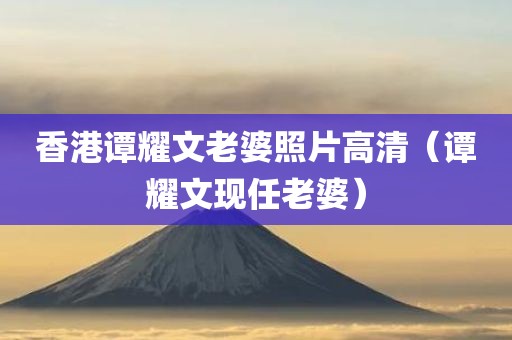香港谭耀文老婆照片高清（谭耀文现任老婆）