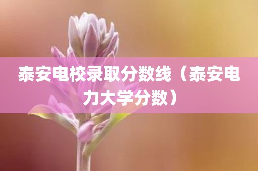 泰安电校录取分数线（泰安电力大学分数）