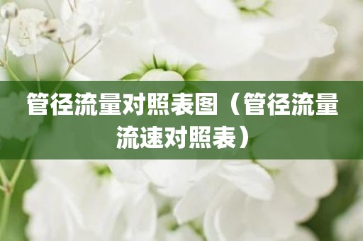 管径流量对照表图（管径流量流速对照表）