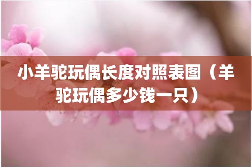 小羊驼玩偶长度对照表图（羊驼玩偶多少钱一只）