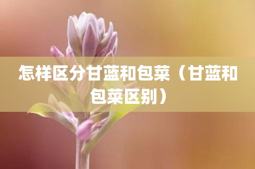 怎样区分甘蓝和包菜（甘蓝和包菜区别）
