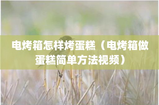 电烤箱怎样烤蛋糕（电烤箱做蛋糕简单方法视频）