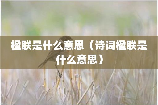 楹联是什么意思（诗词楹联是什么意思）