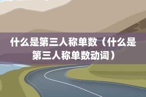 什么是第三人称单数（什么是第三人称单数动词）