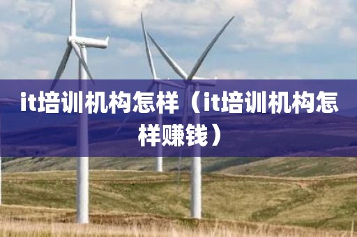 it培训机构怎样（it培训机构怎样赚钱）