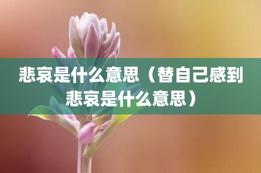 悲哀是什么意思（替自己感到悲哀是什么意思）