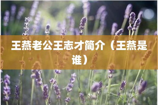 王燕老公王志才简介(王燕是谁) 王燕老公王志才简介(王燕是谁)