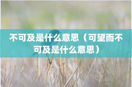 不可及是什么意思（可望而不可及是什么意思）