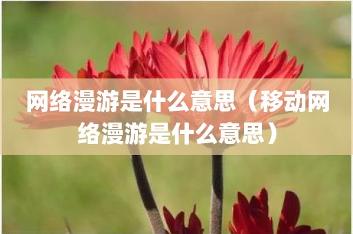 网络漫游是什么意思（移动网络漫游是什么意思）
