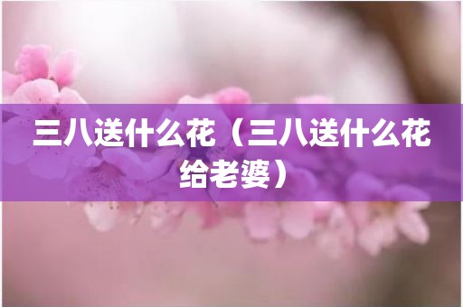 三八送什么花（三八送什么花给老婆）