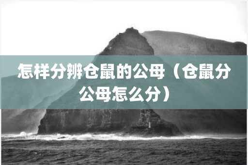 怎样分辨仓鼠的公母（仓鼠分公母怎么分）