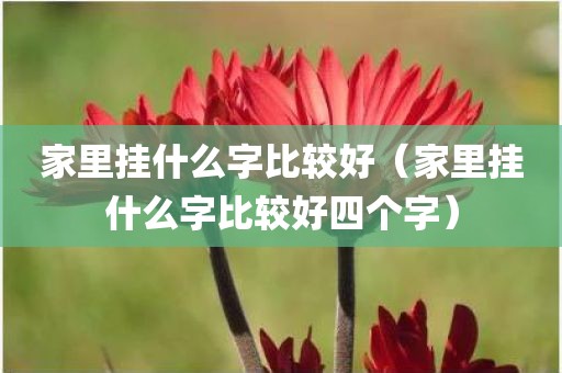 家里挂什么字比较好（家里挂什么字比较好四个字）
