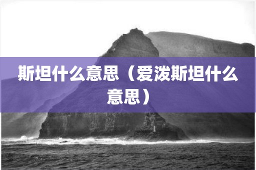 斯坦什么意思（爱泼斯坦什么意思）