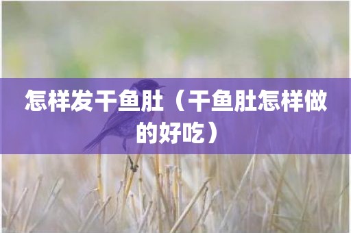 怎样发干鱼肚（干鱼肚怎样做的好吃）