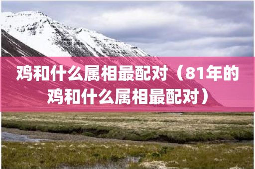 鸡和什么属相最配对（81年的鸡和什么属相最配对）