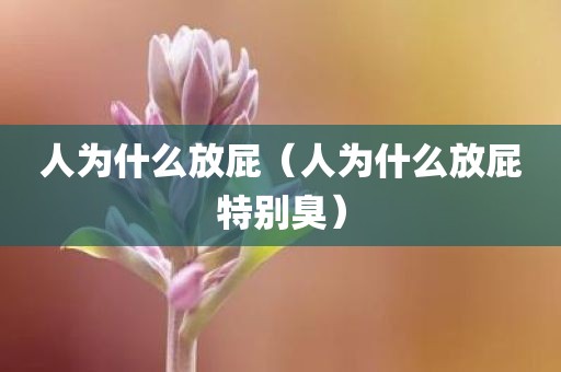 人为什么放屁（人为什么放屁特别臭）
