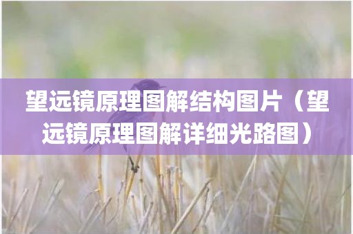 望远镜原理图解结构图片（望远镜原理图解详细光路图）