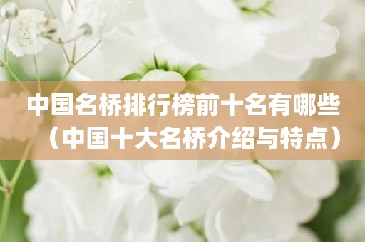 中国名桥排行榜前十名有哪些（中国十大名桥介绍与特点）